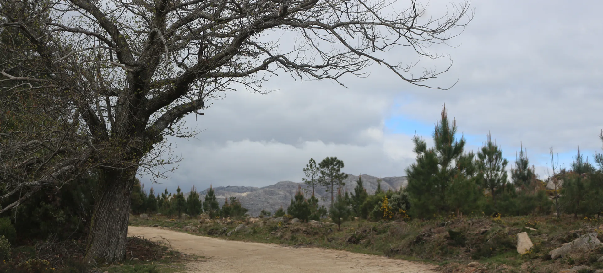 Paisagem do Gerês